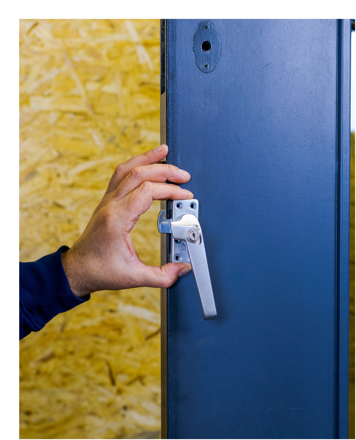 Raamboom op een deur